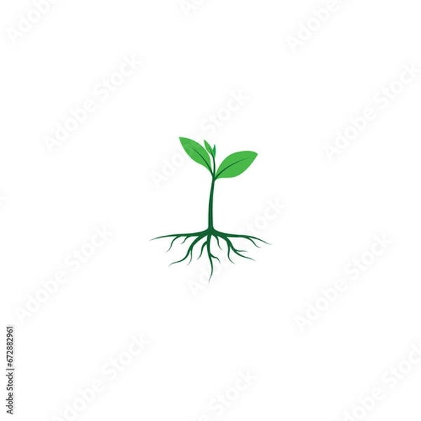 Obraz Growing plant icon vector graphics