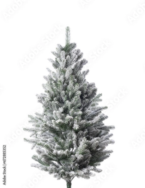 Obraz Snowy fir-tree isolated on a white background