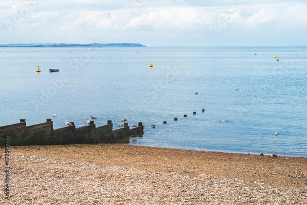 Fototapeta Whitstable pebble beach with a wooden groyne sea defence and sea birds. There are also bouts and a small boat in the sea.  Isle of Sheppey can be seen on the horizon.