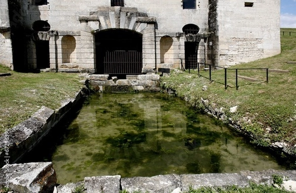 Obraz Château de Maulnes : nymphée