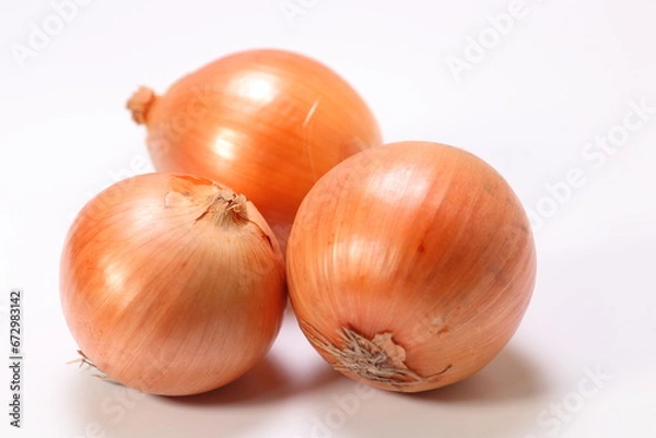 Obraz たまねぎ　産地直送