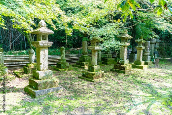 Fototapeta 道隆寺跡の風景（肝属郡肝付町）