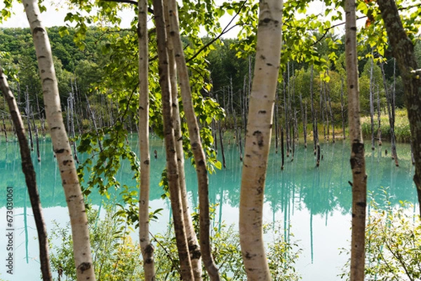 Obraz 北海道 青い池