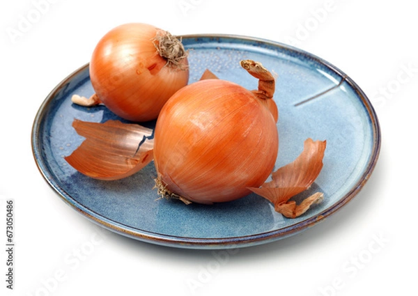 Obraz Gold onion vegetable bulbs on white background