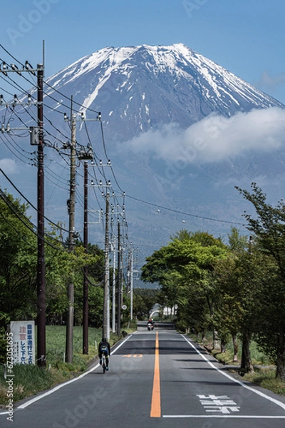 Fototapeta 富士山に続く道