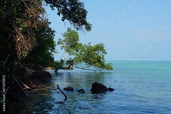 Fototapeta tree on the sea