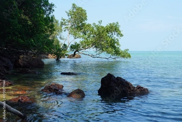Fototapeta tree on the sea