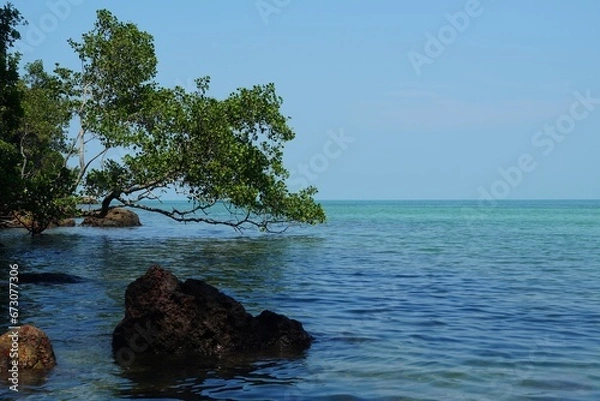 Fototapeta beach with trees