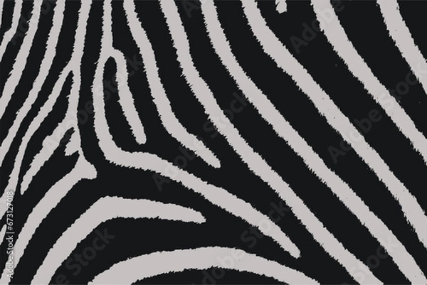 Obraz Zebra skin texture black white vector seamless pattern fabric textile design