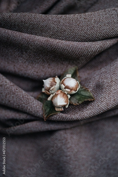 Obraz Handmade brooch made of polymer clay Hazelnut