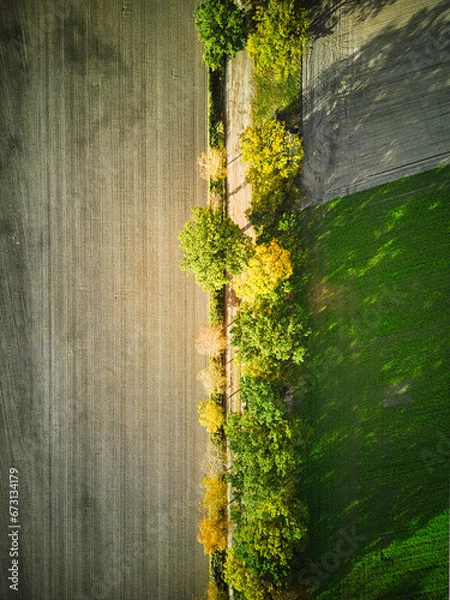 Fototapeta Herbst aus der Luft - DJI mini 3 PRO