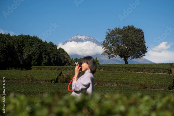 Fototapeta Mt.Fuji and Tea farm in spring at Shizuoka prefecture with cloudy sky
