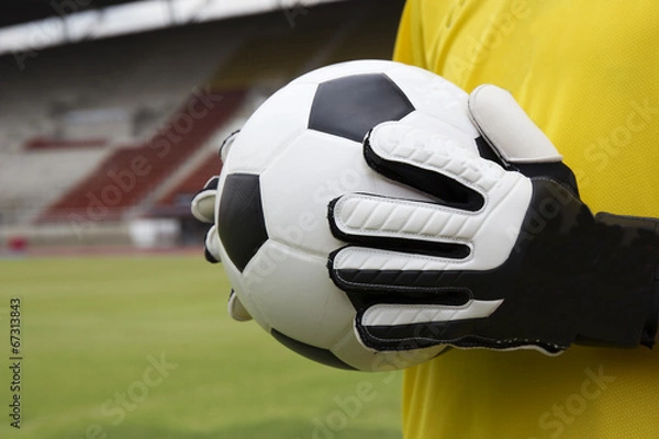 Obraz soccer goalkeeper with ball