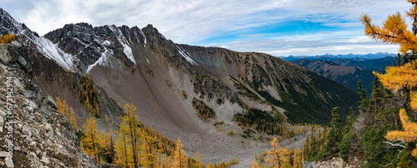 Fototapeta Nature's Palette: Experiencing the Gold and White Scenery on Frosty Trail, Manning Park