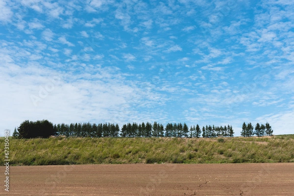 Obraz 北海道の風景
