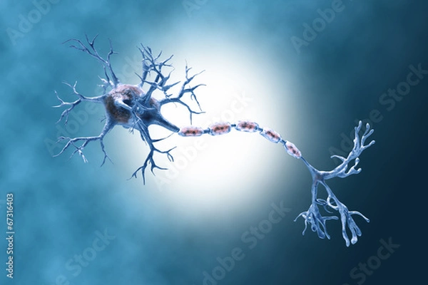 Obraz digital illustration neurons