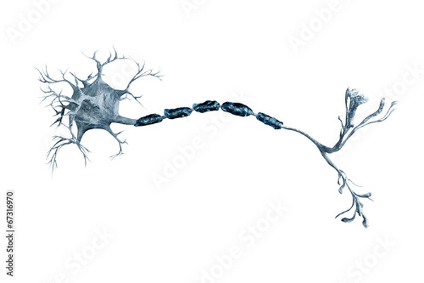 Obraz digital illustration neurons