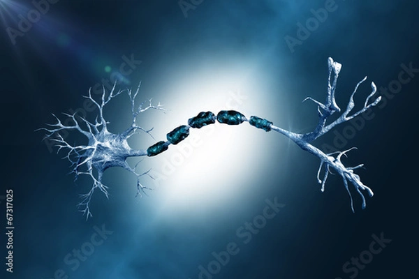 Obraz neuron digital illustration