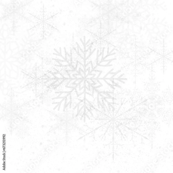 Obraz Christmas background  of  snowflakes on white background