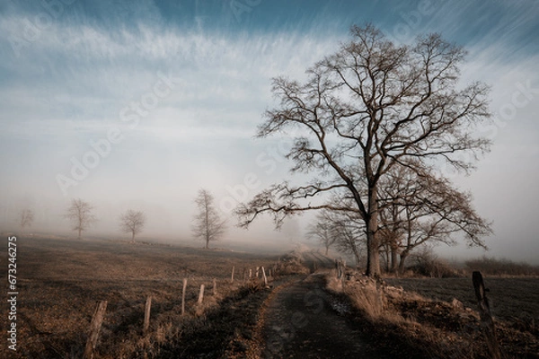 Fototapeta Rhönnebel