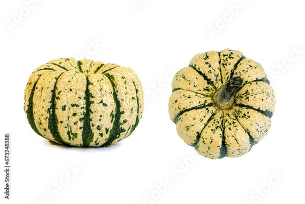 Obraz Decorative pumpkins on a white background