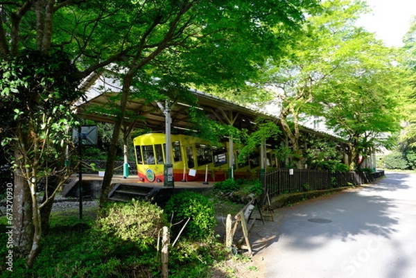 Fototapeta 高尾山