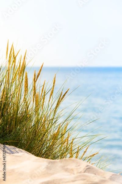 Obraz Bright Beach Scene