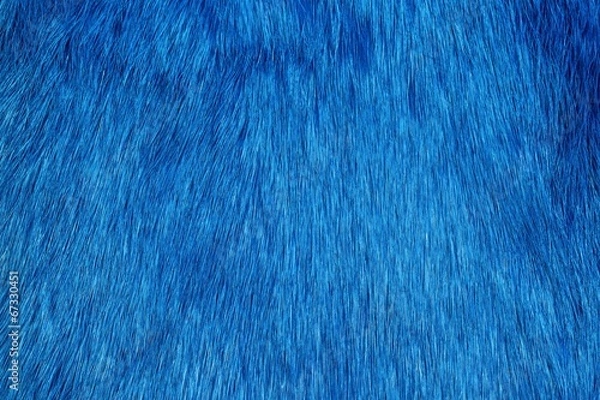 Obraz Blue fur background