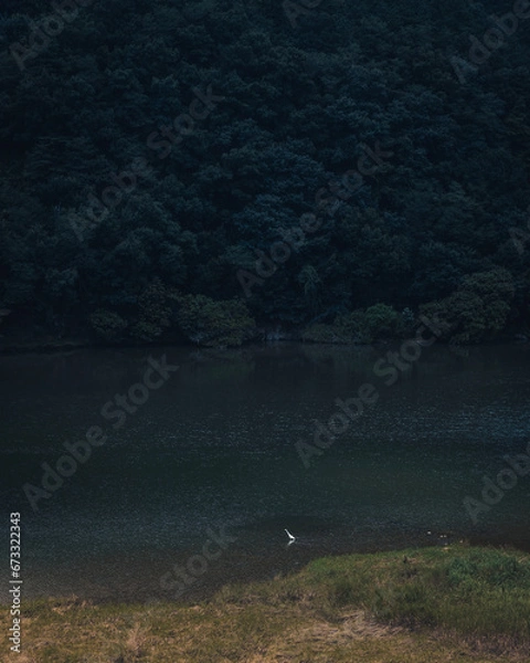 Obraz 호수 새 풍경