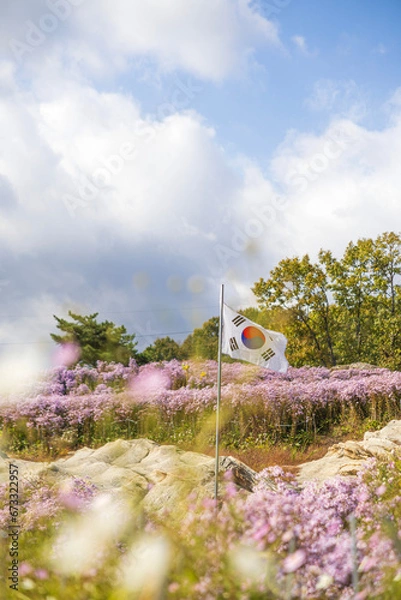 Obraz 대한민국 flower, 네이처, 분홍, 봄, 식물, flower, 블로섬, 개화, 뜰, 보라색, 식물, 여름, 미, 근접, 매크로, 개화, 가지, 꽃, 변색, 나뭇잎, 꿀벌, 헤더, 나물, beautiful