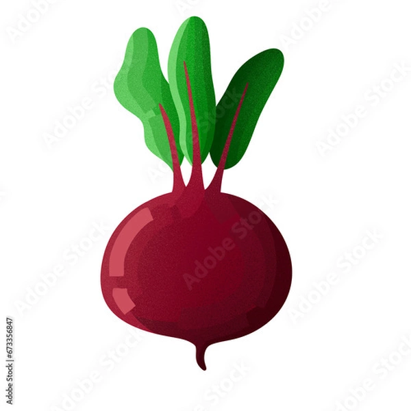 Obraz Radis rose et vert