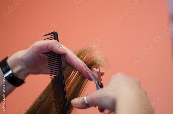 Obraz hairdresser shorten ends of the hair with scissors