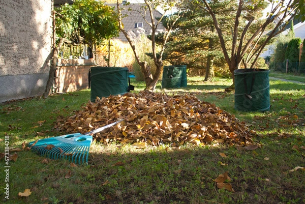 Obraz a pile of leaves with a rake and three leaf bags in the garden