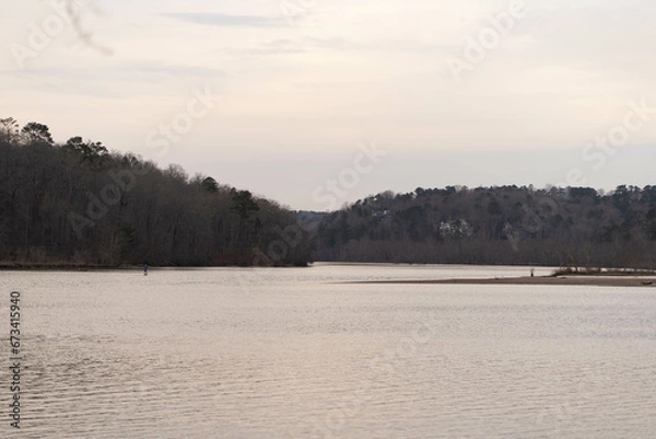Obraz Water and trees