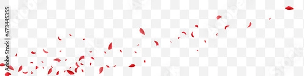 Obraz Beautiful Rose Falling Vector Transparent