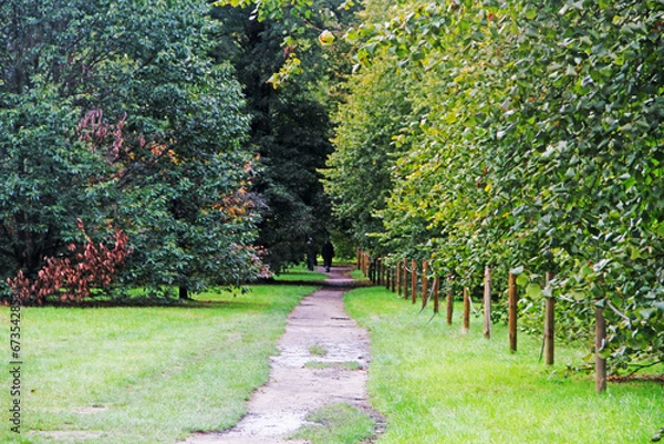 Fototapeta path in the park