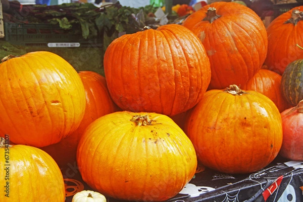 Fototapeta pumpkins for sale