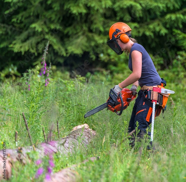 Obraz Waldarbeiterin