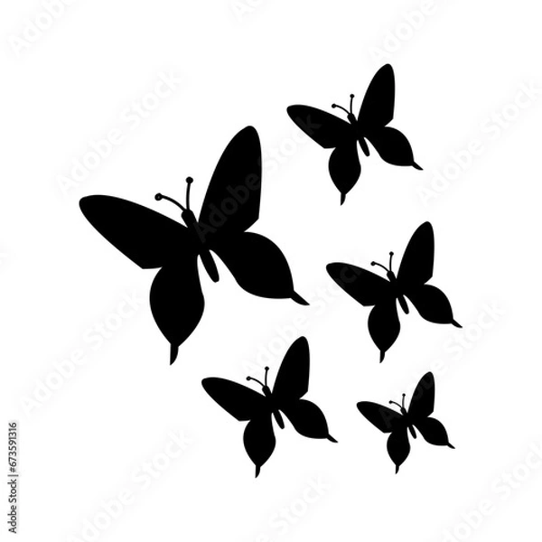 Obraz Animal Silhouette