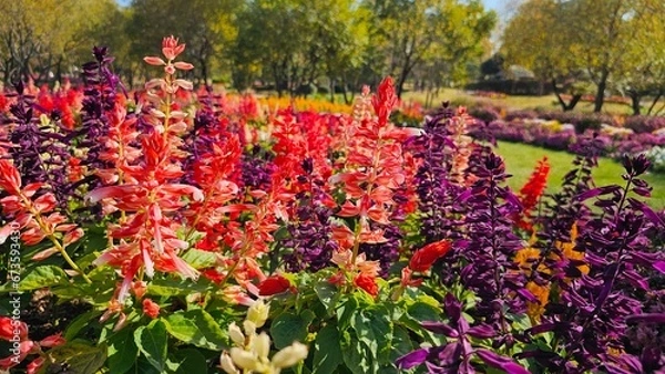 Fototapeta 한국의 화단