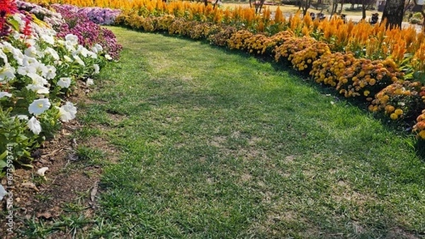 Obraz 한국의 화단