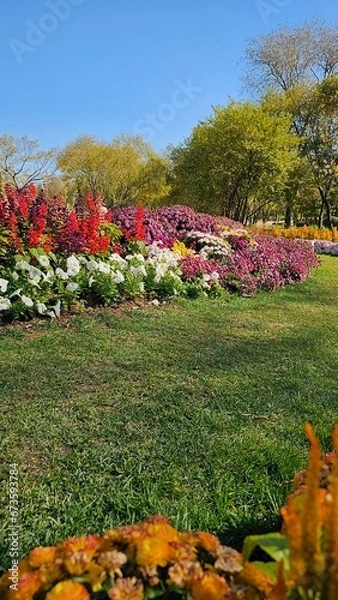 Obraz 한국의 화단