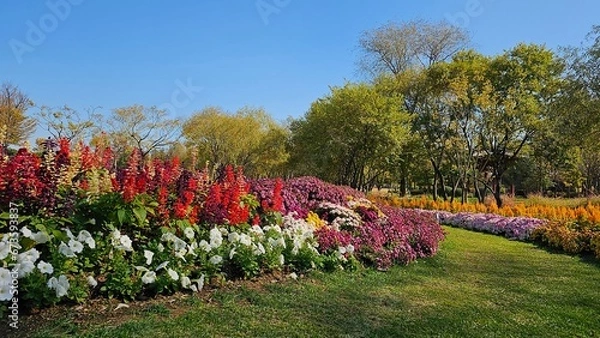 Fototapeta 한국의 화단