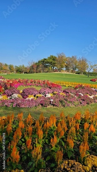 Obraz 한국의 화단