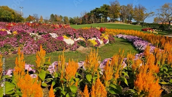 Obraz 한국의 화단