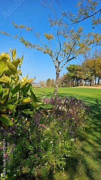 Obraz 한국의 화단