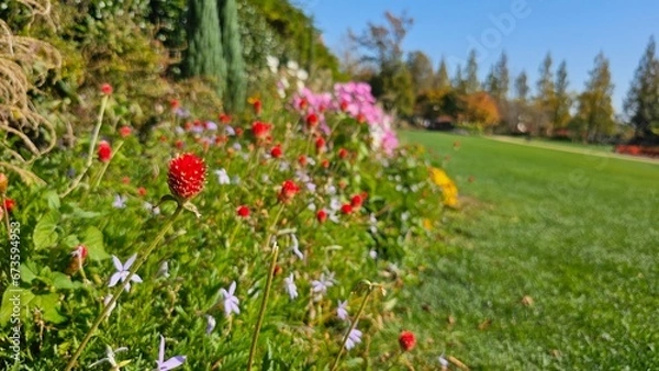 Obraz 한국의 화단