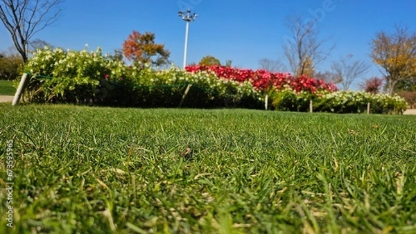 Obraz 한국의 정원