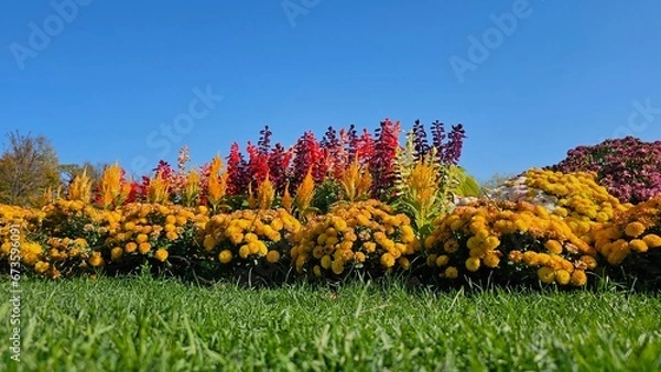 Obraz 한국의 정원