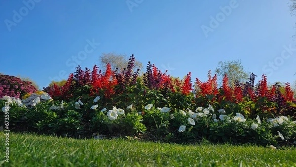 Obraz 한국의 정원